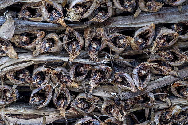 Dried fish stock photo