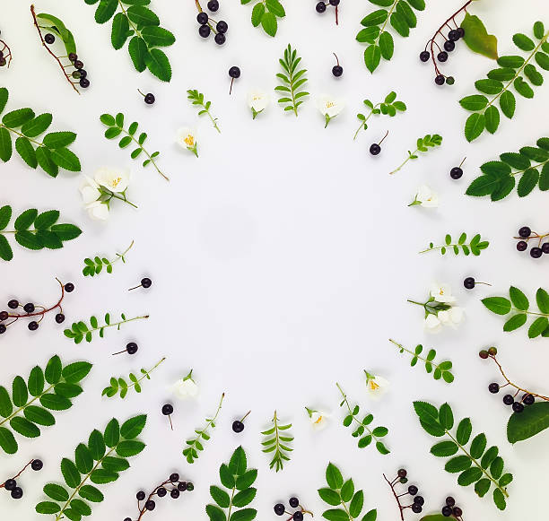 istock Colorful pattern of leaves, berries and flowers. Flat lay 590170220