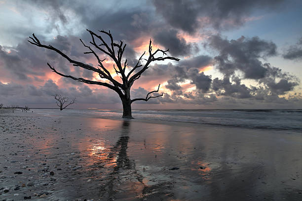 istock Botany Bay at sunrise 590172256