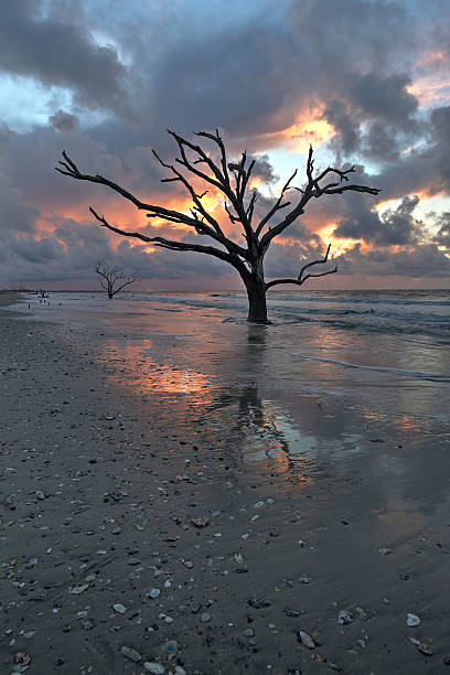 istock Botany Bay at sunrise 590173002