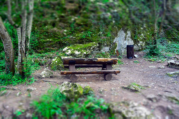 wood, table, bench, nature, picnic
