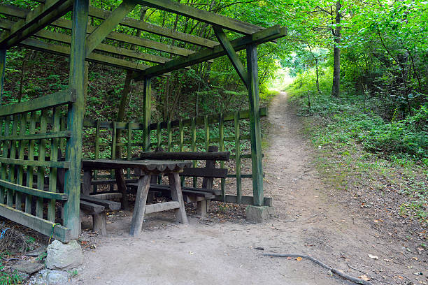 wood, table, bench, nature, picnic