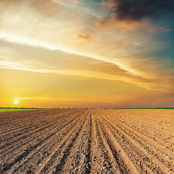 orange sunset over black agriculture field