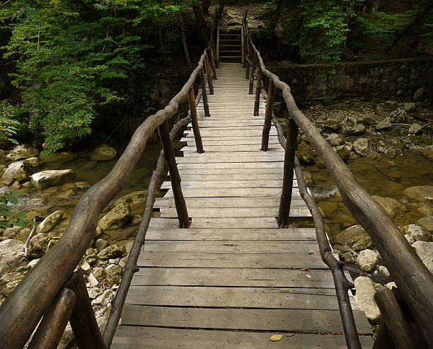 istock wooden bridge in the forest. 590177520