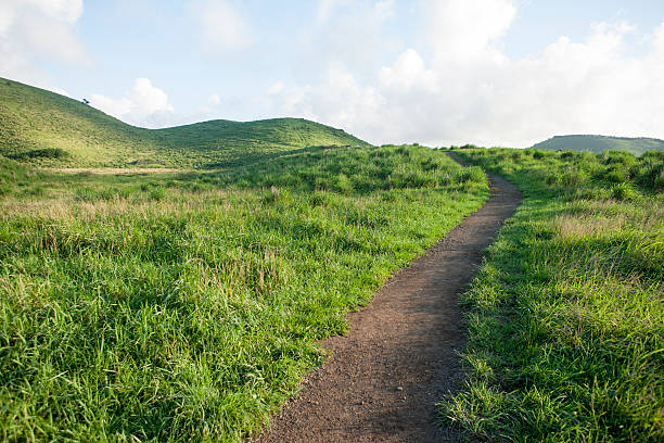 istock yongnunyi oreum, road 590179166