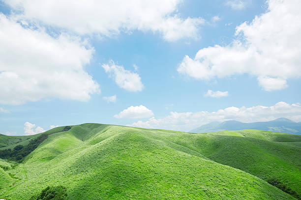 istock Landscape of Summer 590180868