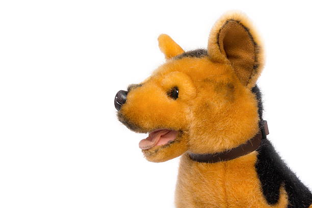 istock Dog Plush toy for children. 590181342