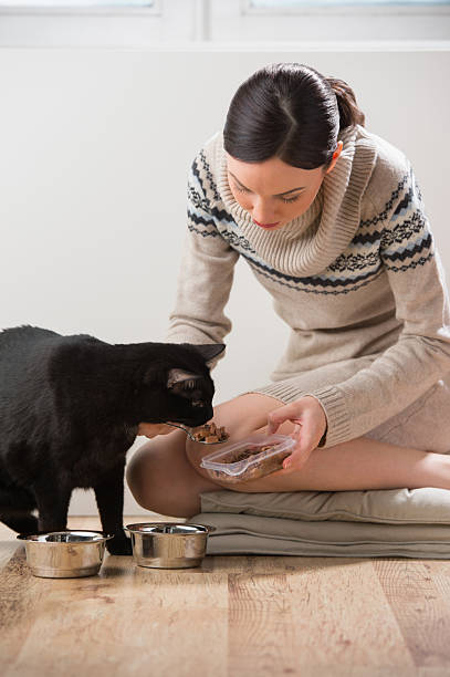 istock Beautiful young woman feeding her cat at home 590181412