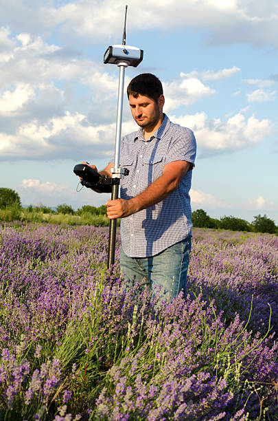 istock Land surveying in a lavender field 590181844