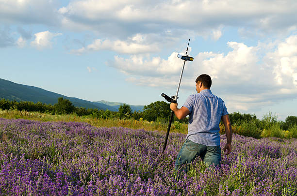 istock Land surveyor crossing lavender field 590182016