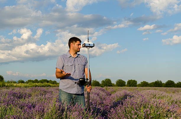 istock Land surveyor working in a lavender field and waiting for 590240168