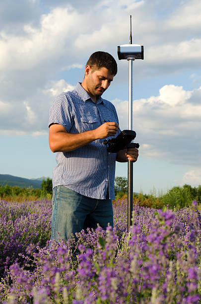 istock Surveyor working in a lavender field 590241442