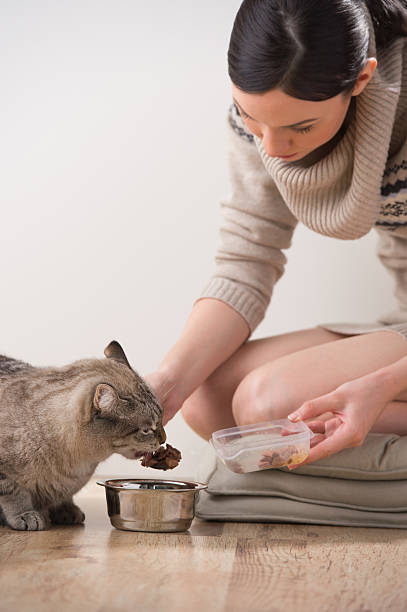 istock Beautiful young woman and her cat 590243142