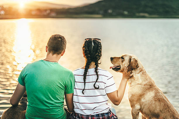 istock Couple with dog enjoying summer sunset 590243376