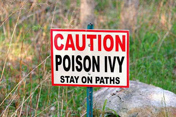 istock Poison Ivy warning sign 590246330