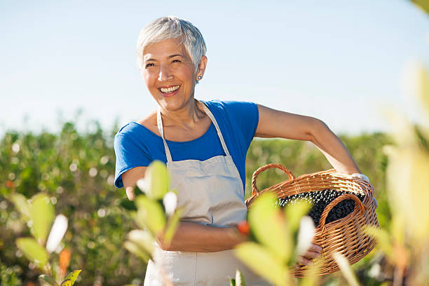 donna anziana di successo con cappello sul campo - planting clothing gray hair human age foto e immagini stock