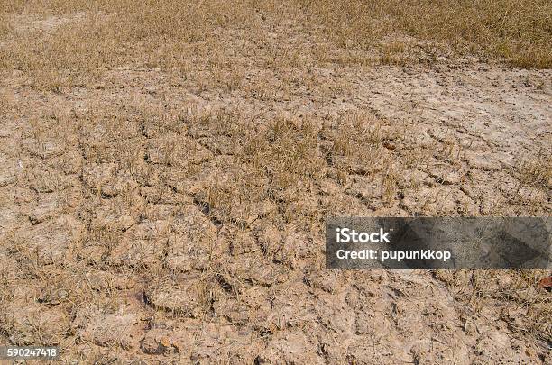 Dry Land Stock Photo - Download Image Now - Accidents and Disasters, Agricultural Field, Backgrounds