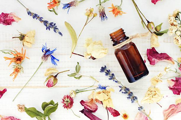 Top view dropper bottle among colourful dried flowers Aromatic essential oil. medicinal herbs gathering, scattered white wooden table.  aromatherapy oil photos stock pictures, royalty-free photos & images