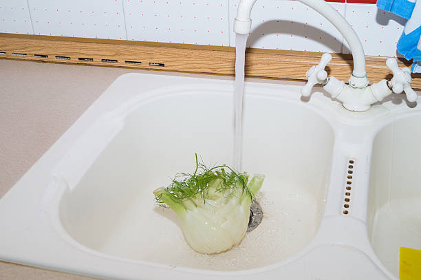 istock Fennel in the foreground under water 590249530