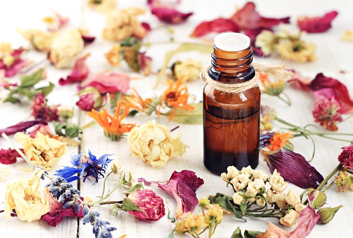 Bottle of herbal infused essential oil, amidst different colorful dried medicinal herbs and flowers.