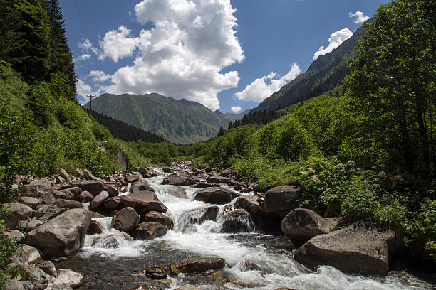 istock River on the Eastern of Black Sea Region. 590250620