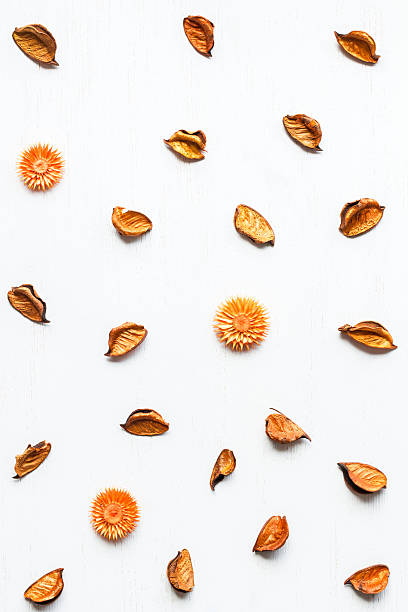 istock pattern made of dry leaves, top view, flat lay 590259112