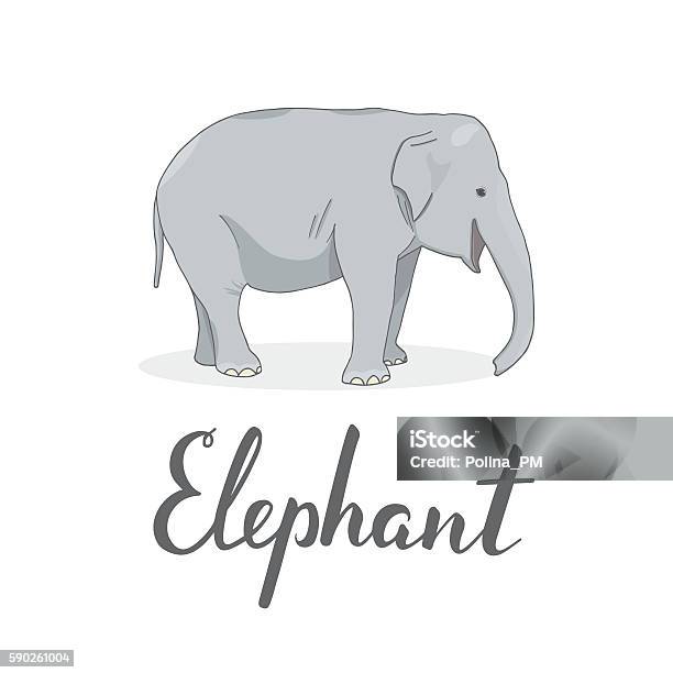 White Elephant Lettering Happy Elephant With Hand Lettering Word On White Background Stock ...