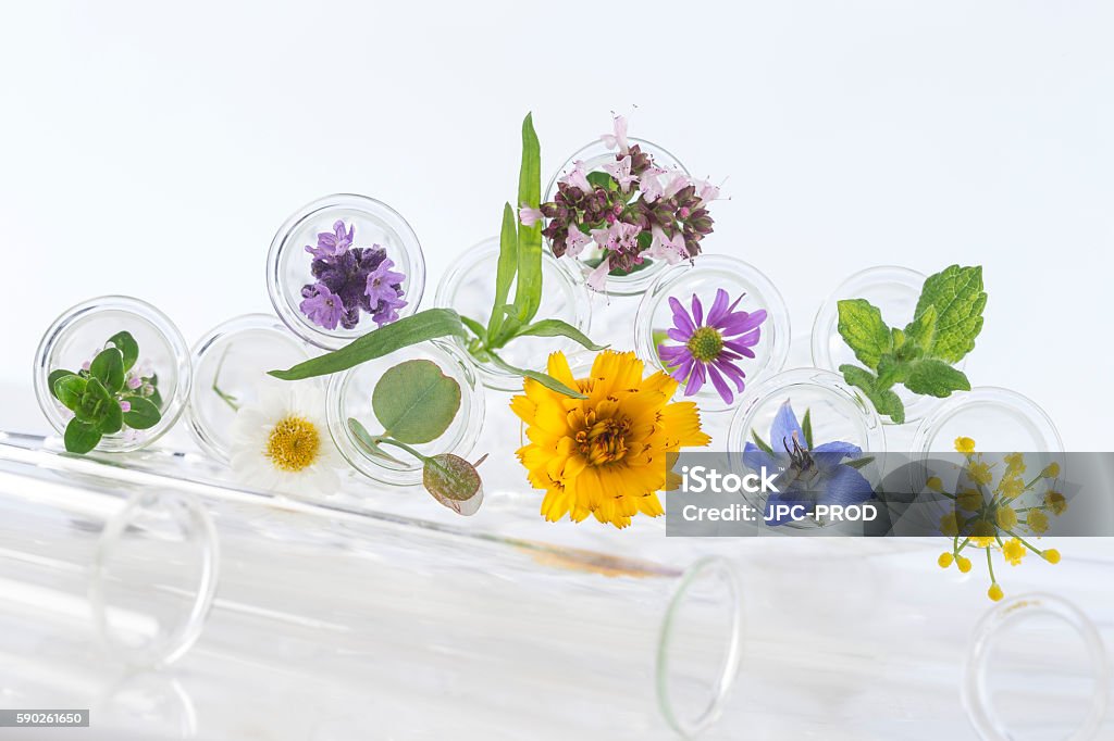 Flowers in test-tubes isolated on white herbal therapy concept, Flowers in test-tubes isolated on white Test Tube Stock Photo
