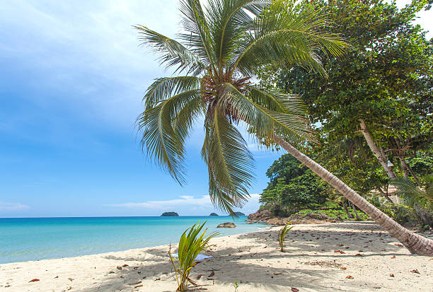 istock Thailand Koh Chang Island 590262592