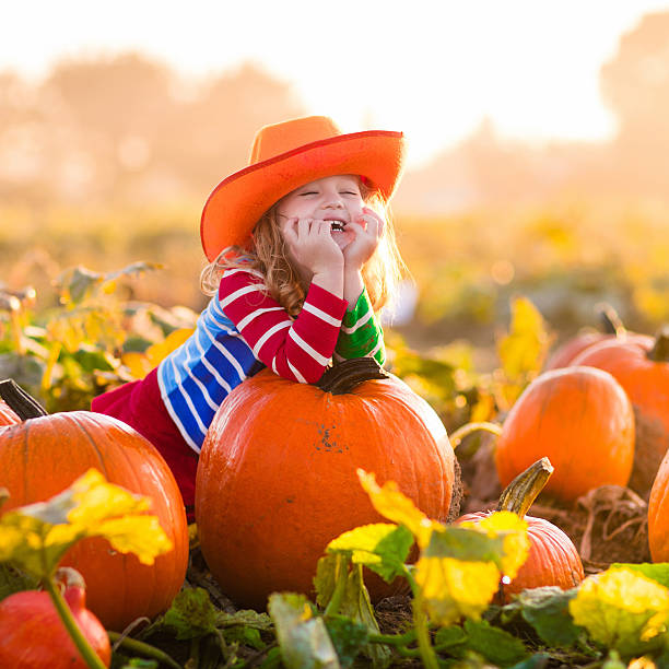 istock Little funny child playing on pumpkin patch 590262922