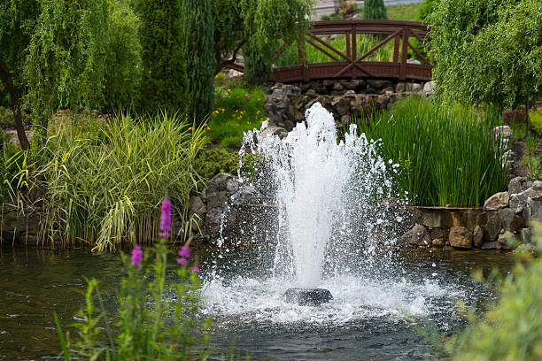 Outdoor landscape garden with pond and fountain Outdoor landscape colorful garden with pond and fountain with background of different trees pond fountains stock pictures, royalty-free photos & images