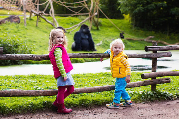 Kids watching animals at in safari park
