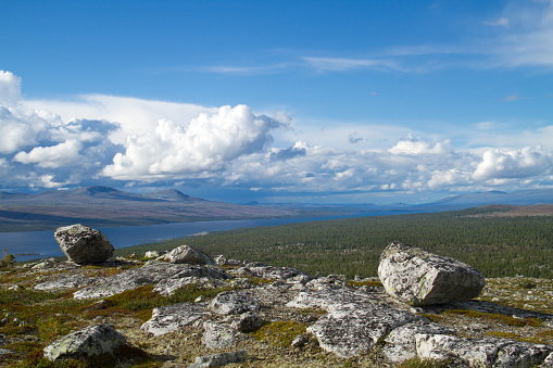 Glacial erratics, boulders left behind as the ice melted, in Femundsmarka national park, Norway