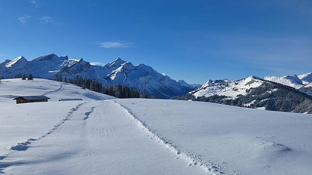 sentiero escursionistico e di slittino invernale sul monte wispile - bernese oberland gstaad winter snow foto e immagini stock