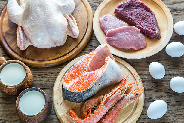 istock Protein diet: raw products on the wooden background 590269394