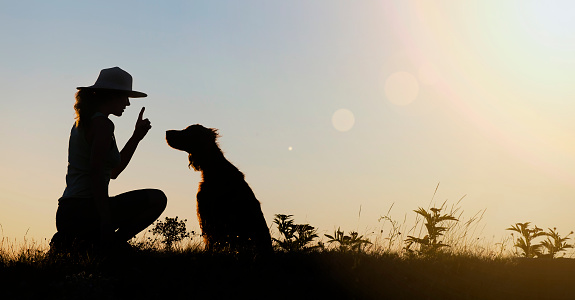 Silhouette of a female as training her dog - website banner