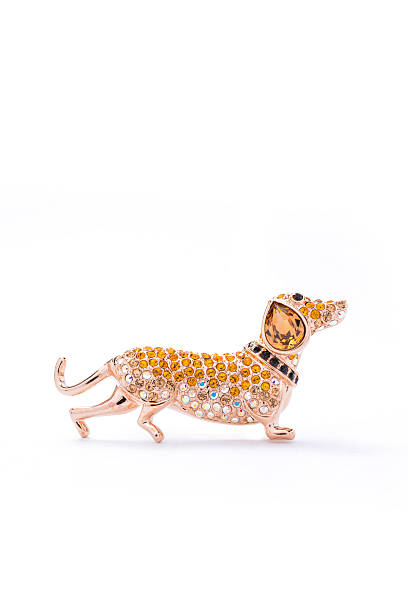 dog brooch on a white background
