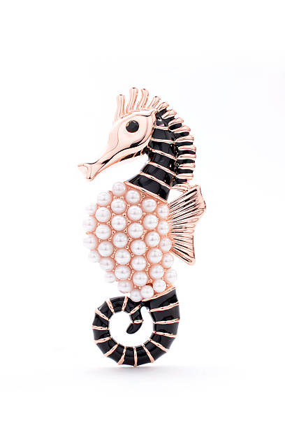 istock seahorse brooch on a white background 590271740