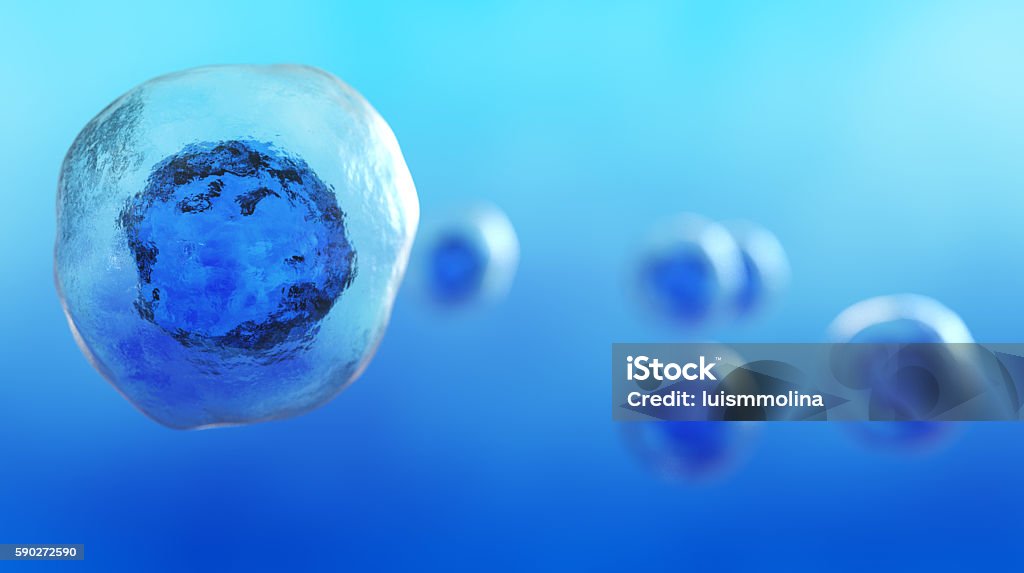 Stem Cell Detailed Image of  Stem Cell Human Cell Stock Photo