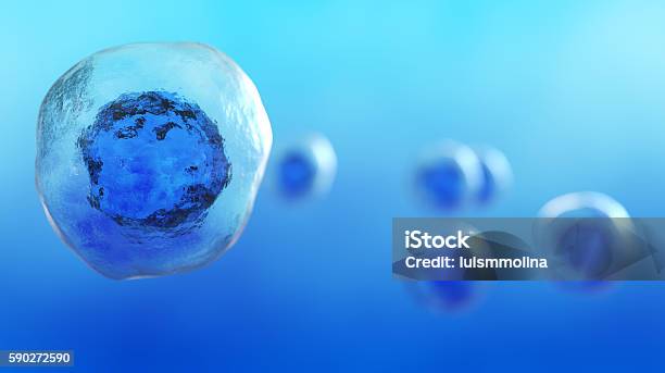 Stem Cell Stock Photo - Download Image Now - Human Cell, Stem Cell, Biological Cell