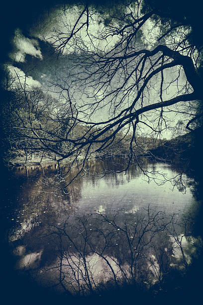 Fairy's Mirror (Le Miroire aux Fées) :  Lake in the forest of Broceliande (Forêt de Paimpont in Ile et Vilaine in France). This forest is the place of many Arthurian tales, Merlin the Wizard and the knights of the Round Table. A tree and the clouds are reflecting in the lac parting the image in two. Shot using a wide Rangle lens 16mm with a Sony A7R at f8 in May in the evening. Heavily processed in Photoshop to get that retro look.