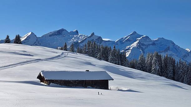 idilliaco paesaggio invernale vicino a gstaad - bernese oberland gstaad winter snow foto e immagini stock