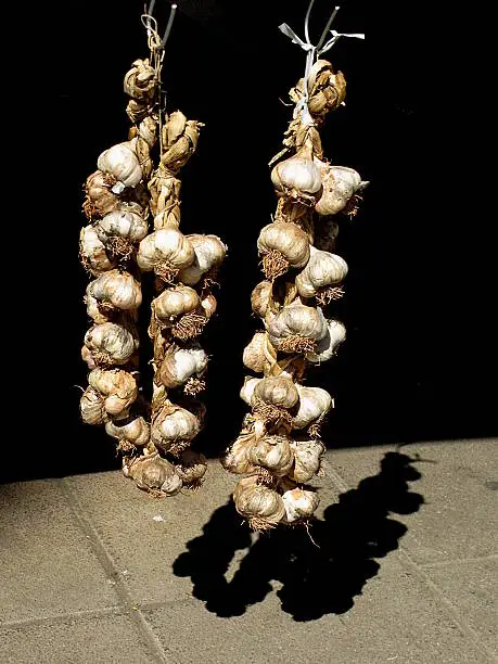 Bounded garlic hanged on the market.