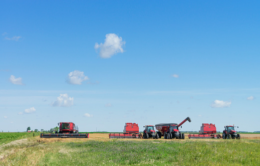 Landscape with farm harveting machinery in a row at edge of partially harvested wheat field in North Dakota,USA.