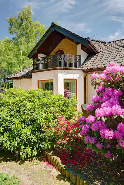 istock Flowers in the garden 590277502