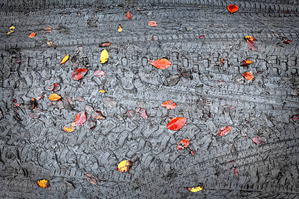 istock dirt road in autumn 590277754