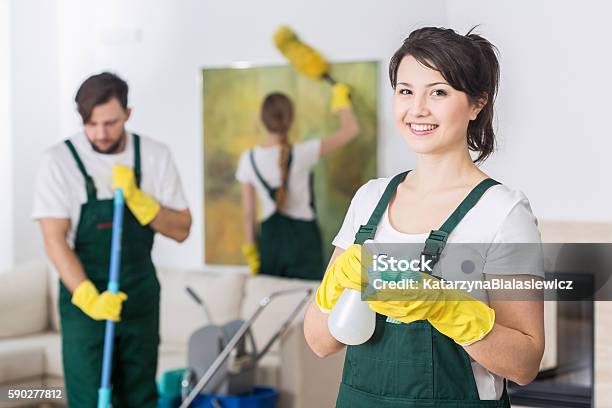 Its Better To Work In Group Stock Photo - Download Image Now - Cleaner, Hygiene, Purity