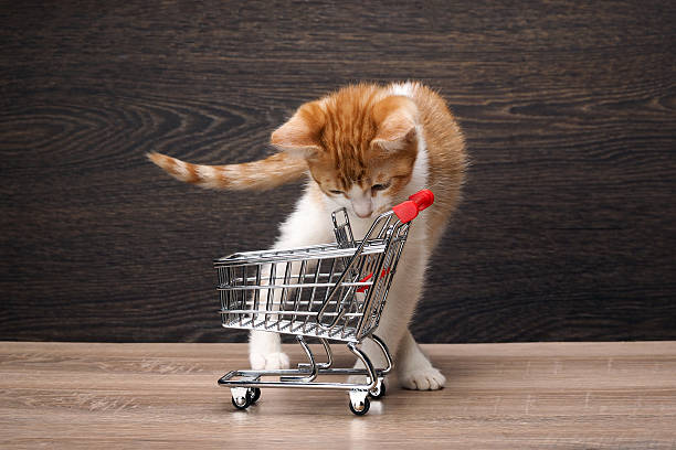 istock Grocery supermarket trolley. 590278548