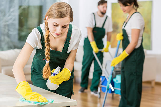 istock Girl polishing the table 590278600