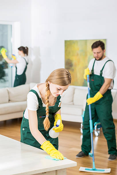 istock Cleaning company and spacious living room 590278706